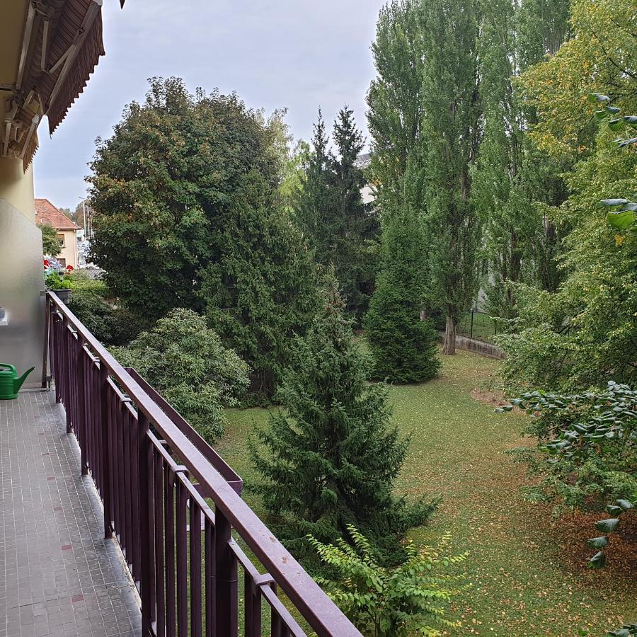 Cote Parc Daire Schiltigheim Dış mekan fotoğraf