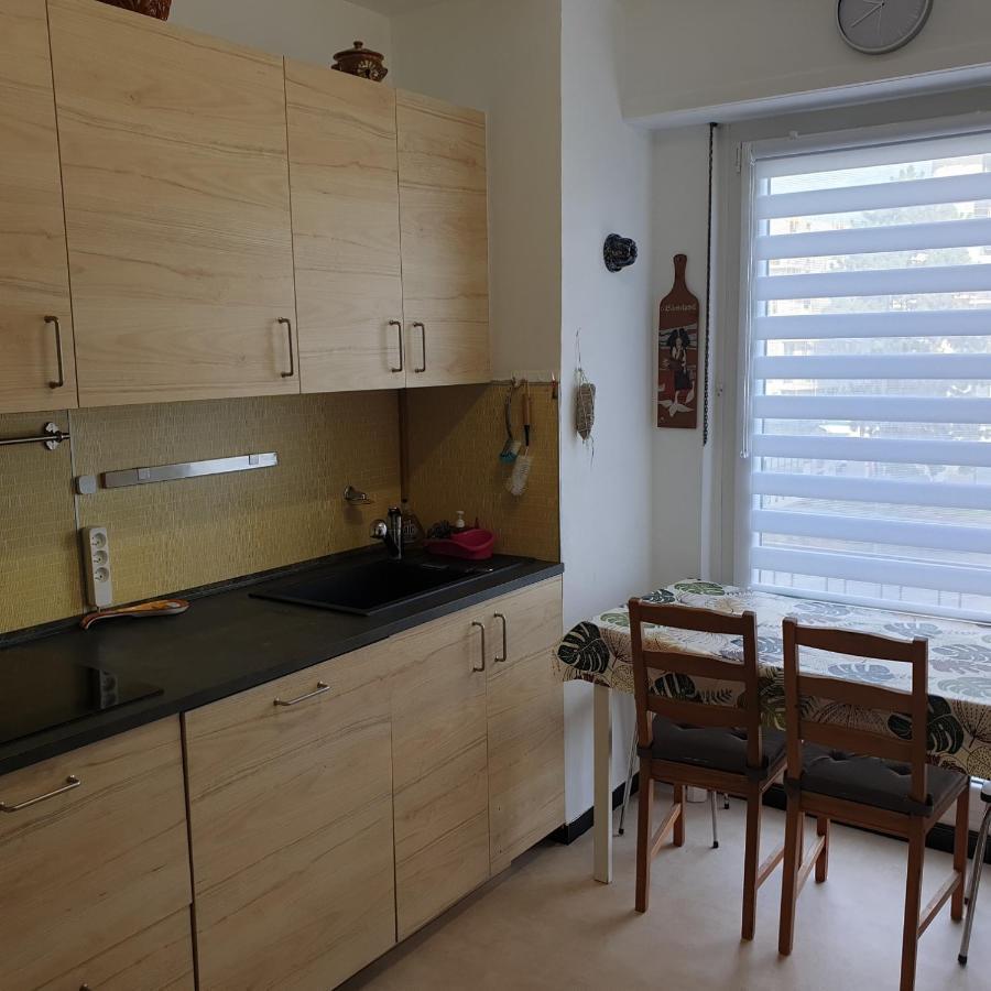 Cote Parc Daire Schiltigheim Dış mekan fotoğraf
