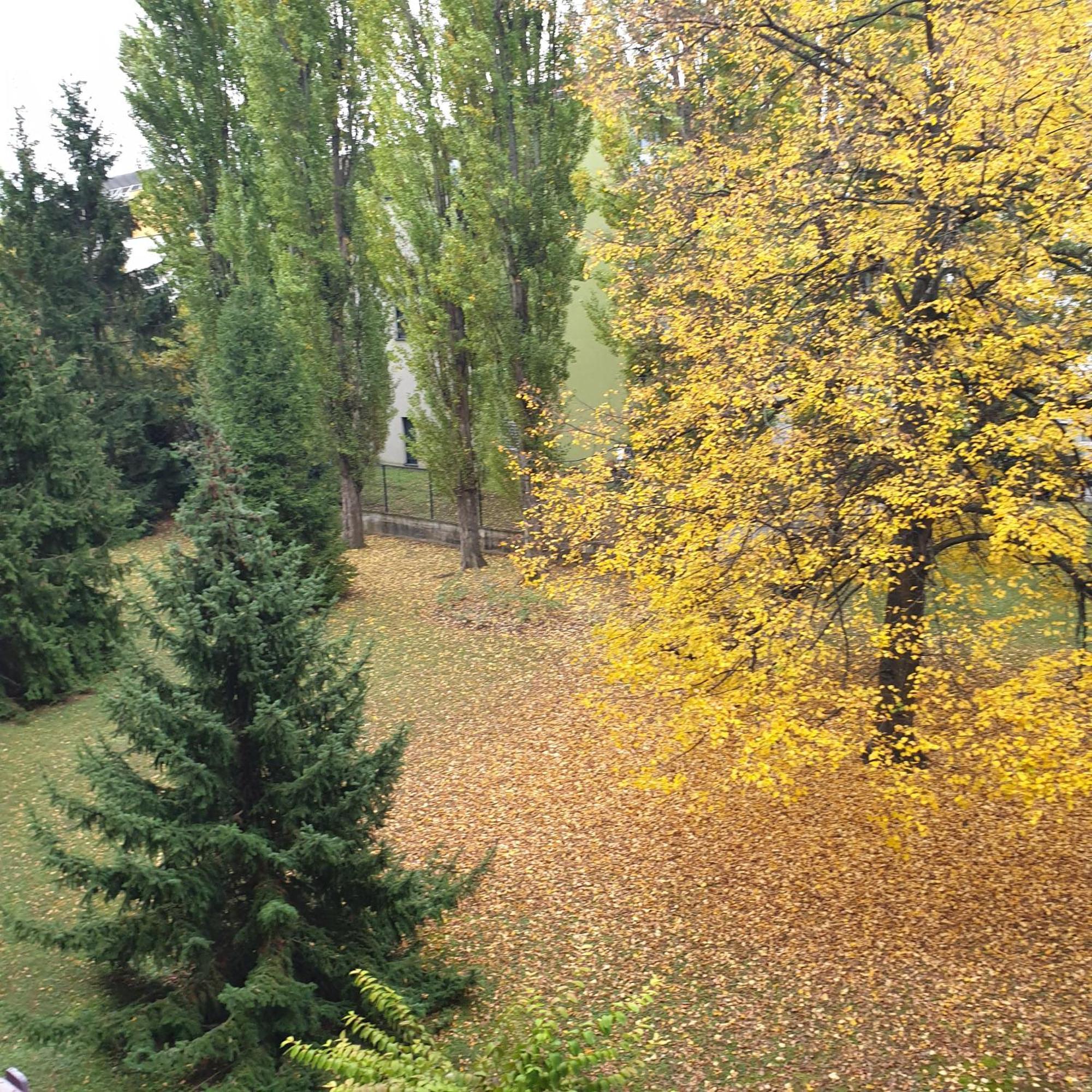 Cote Parc Daire Schiltigheim Dış mekan fotoğraf